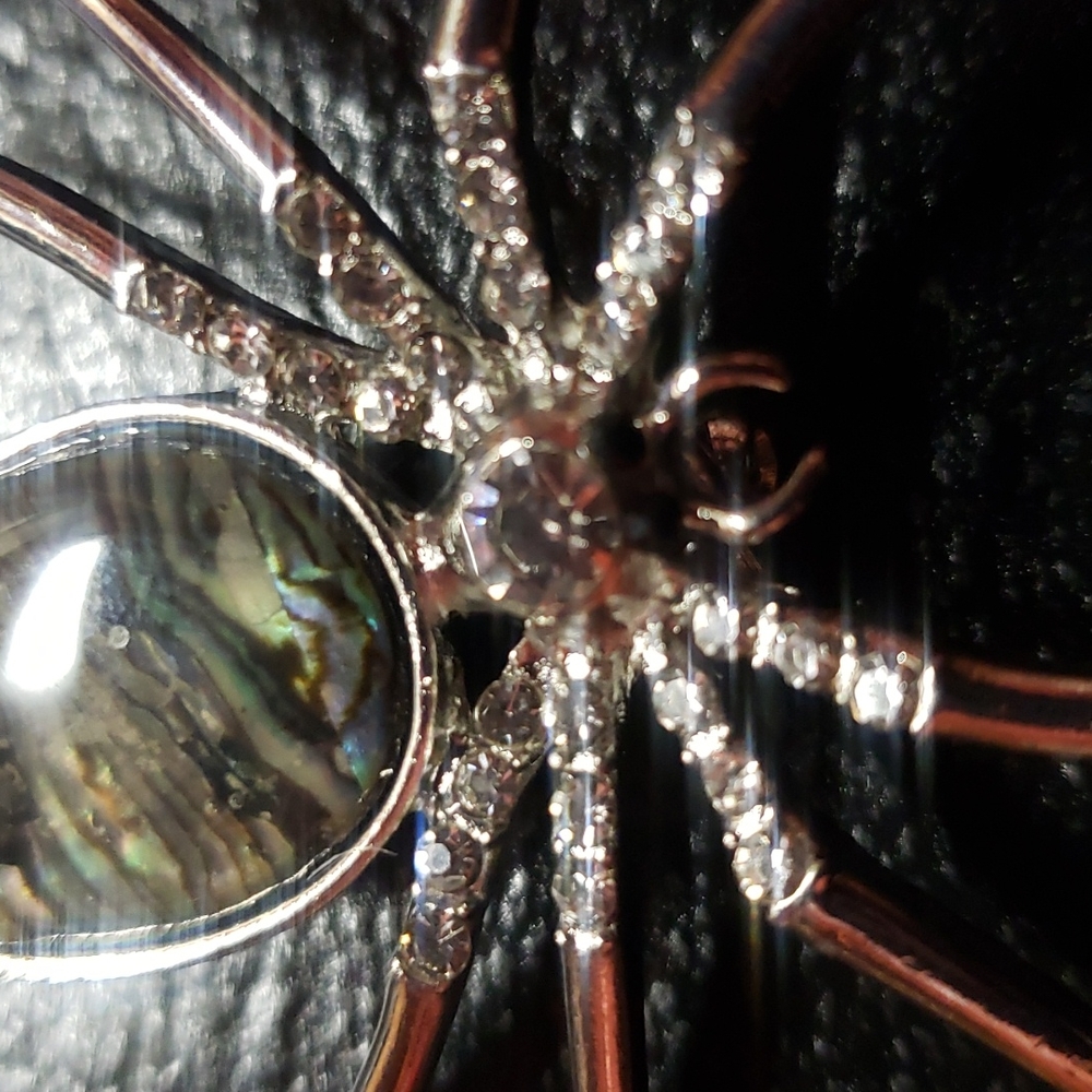 Spider Brooch - Picture 3 of 5